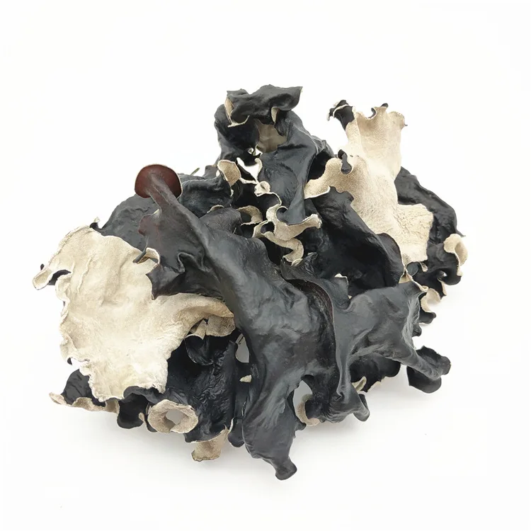 
Dried Whole White Back Black Fungus Agraic Mushroom Black Edible Fungus 
