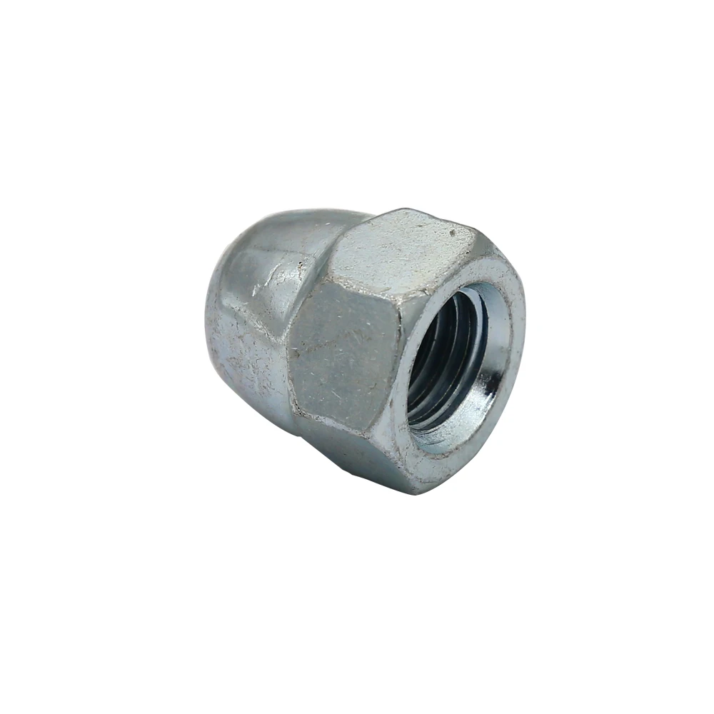 
Hexagon Domed Nuts DIN1587 Stainless steel 