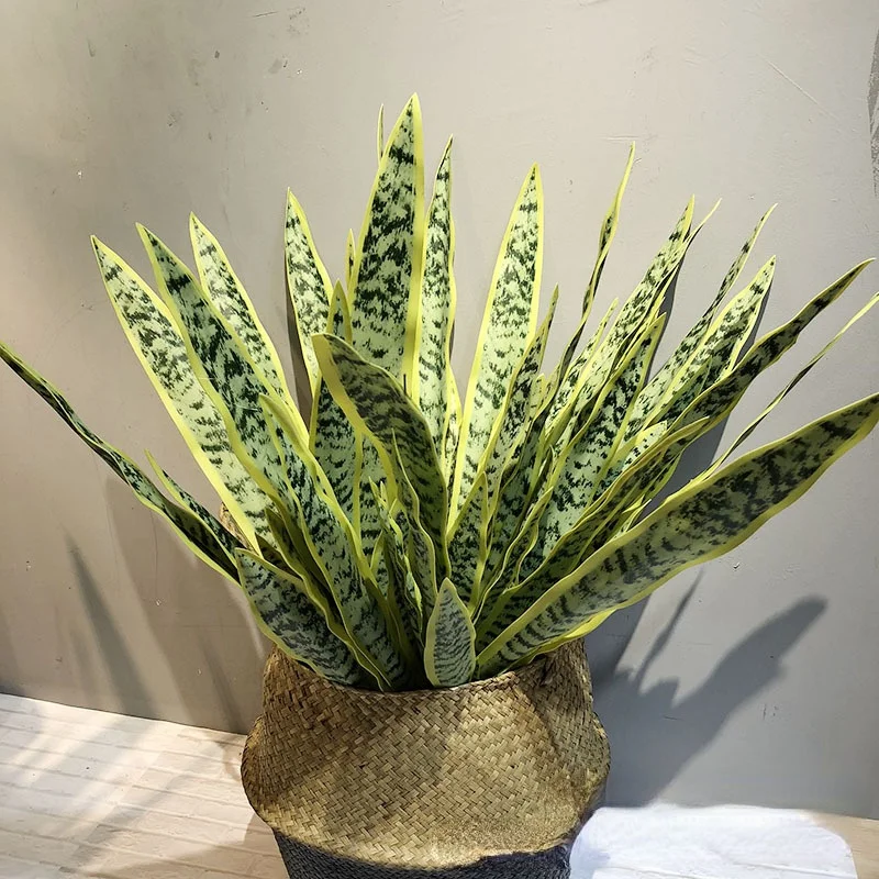 Имитация 5 листьев Sansevieria trifasciata Prain ламинированный фальшивый лист agave мясистый зеленый растение имитация большого бонсая