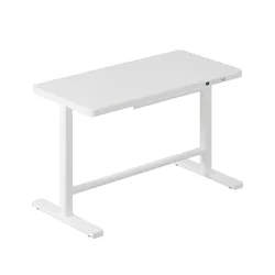 Ergonomic Electric Smart Desk Home Height Adjustable Standing Dual Motor Desk