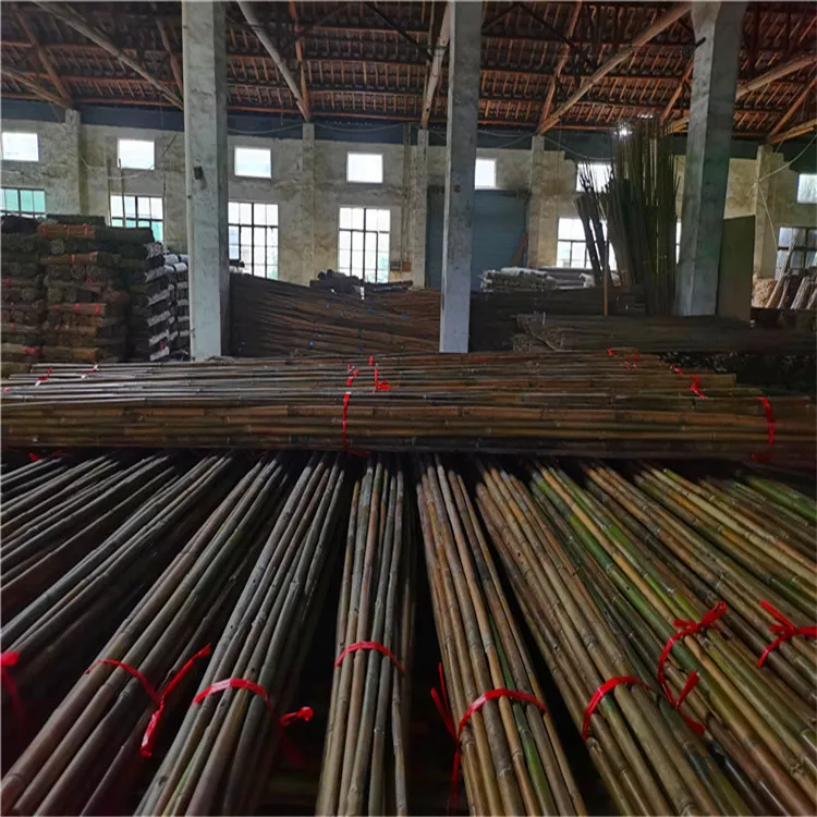 plastic coated bamboo pole for support or you want