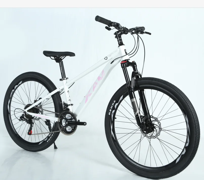 Customize MTB 29er bike bicicleta 26 mountain bike MTB suspension MTB mountain bicycle