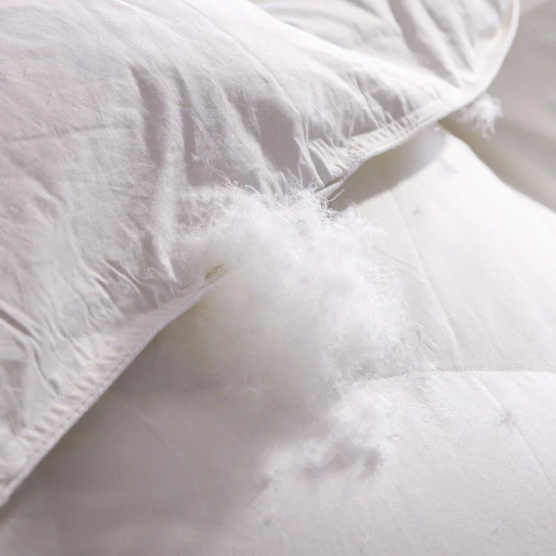 High Quality Down Duvet Goose Duck Down Feather Quilt 100% Duvet Cotton All Seasons Soft Duvet