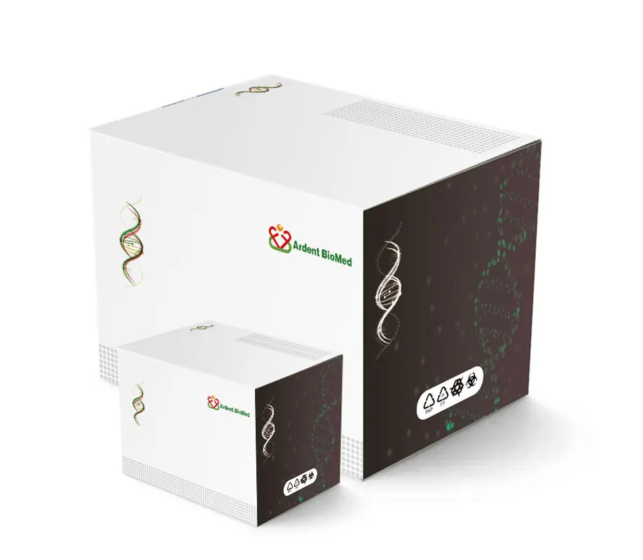 saliva test antigen  kit