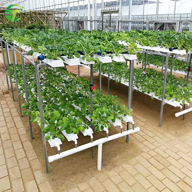Hydroponic NFT Growing Gutters Channels / Gullies for Commercial Greenhouse Systems