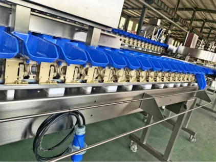 Farm processing machine shrimps fish crab weight sorting and grading machine