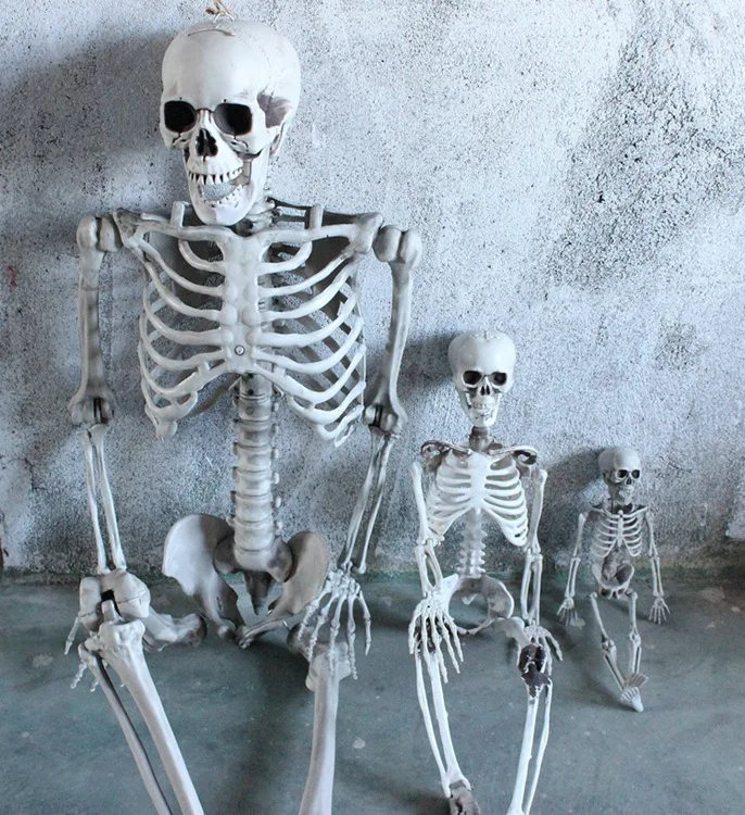 Halloween Horror Anatomy Movable  Skeleton Halloween Props Full Life Size Skeleton Prop Halloween Decoration