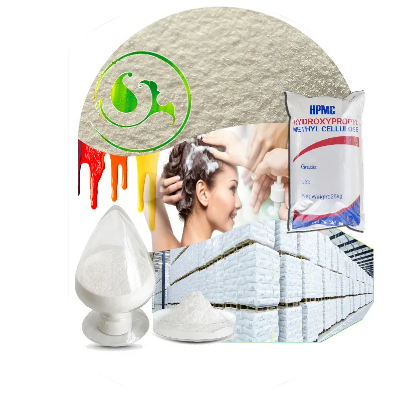 Hydroxypropyl Methyl Cellulose HPMC for Pakistan Market with Low Price Methyl Cellulose