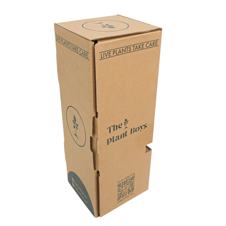 Customized Printing Paperboard Live Succulent Pot Box Artificial Plant Cardboard Packaging