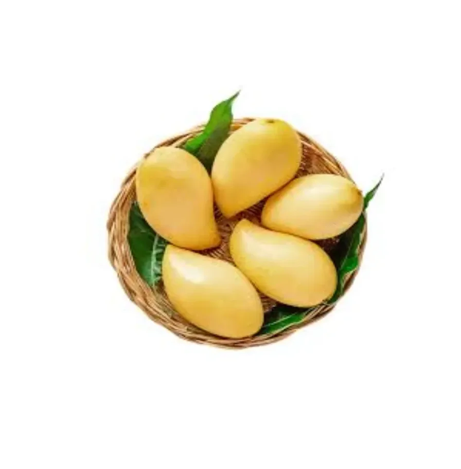 Premium Fresh Fruits Grade Mangos Golden Color Nam Dok Mai RL Supply Brand Natural Sweet Taste Healthy Snack From Thailand