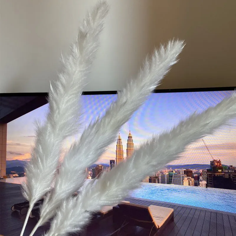 Factory price Small White Natural Dried Reed Pampas Grass For Decoration