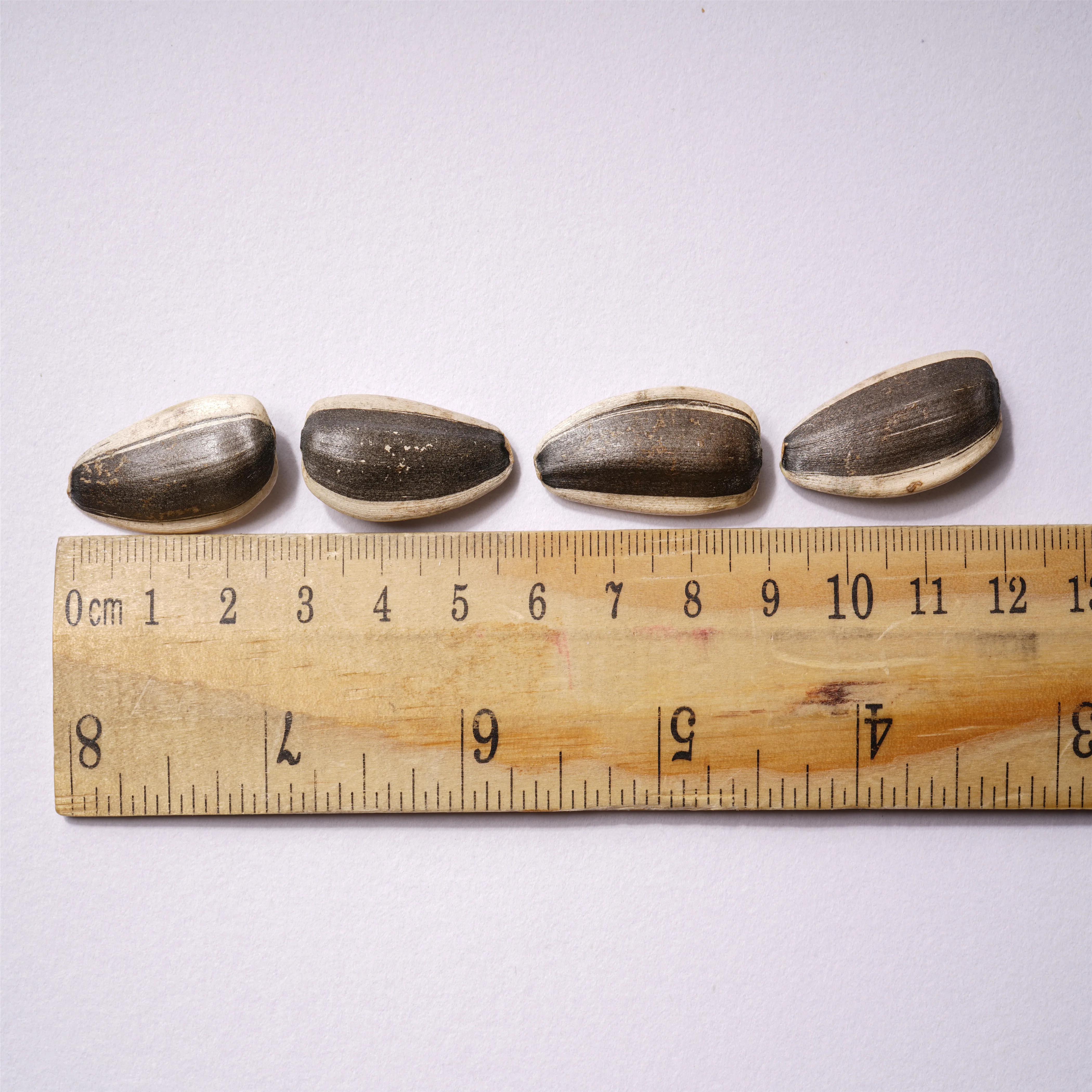 Chinese flavor 99% high accuracy bigs sunflower seeds bulk