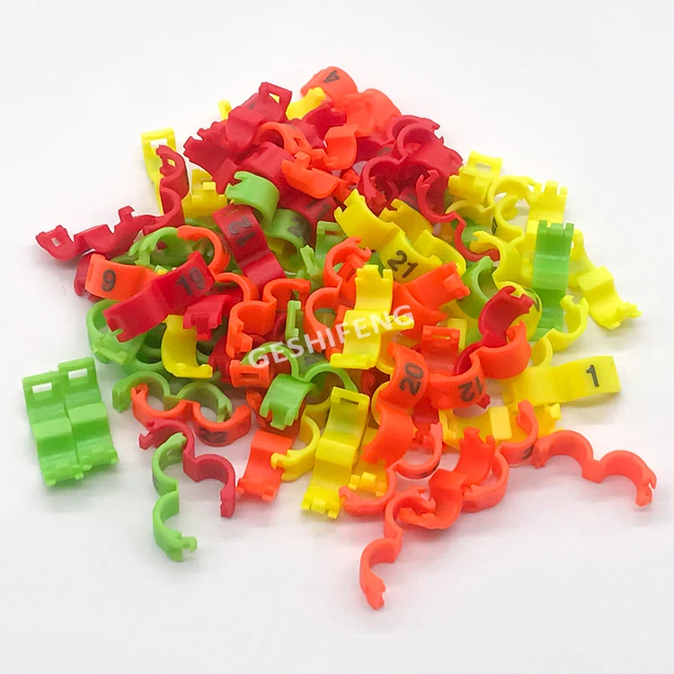 Small Canary Pigeon Budgerigar Printing Number Finches Plastic 2.7mm 3mm 5mm Bird Foot Ring