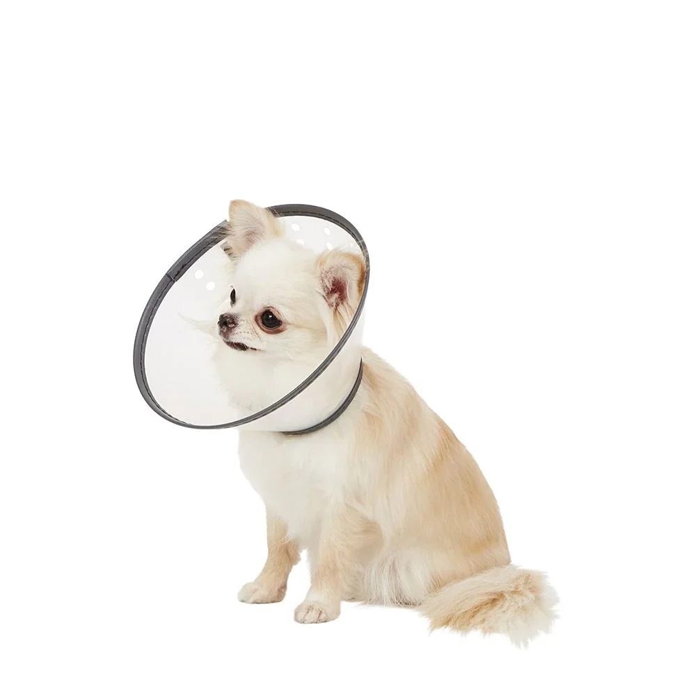 Protective Inflatable Adjustable Plastic Lightweight Elizabethan Dog Cone For Pet After Surgery