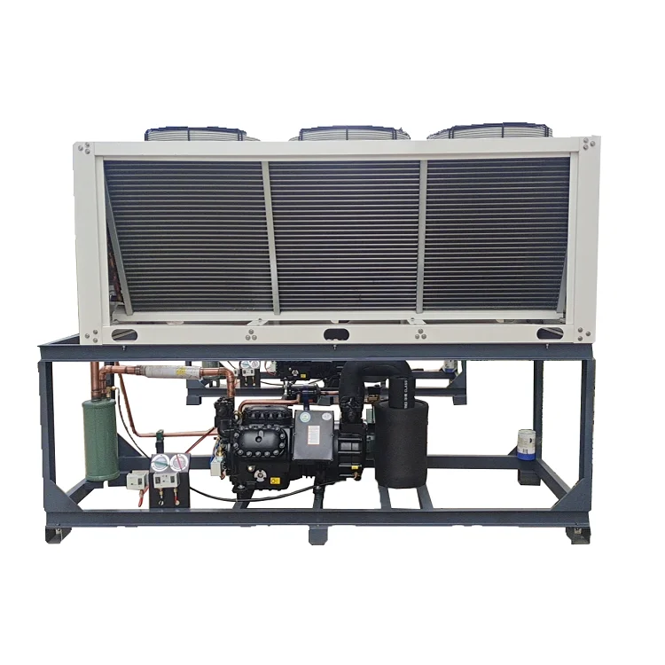 Low Noise Compressor Piston Air-cooled Refrigeration Unit Cold Storage Freezing Equip Heat Exchanger Condensing Unit of Copeland