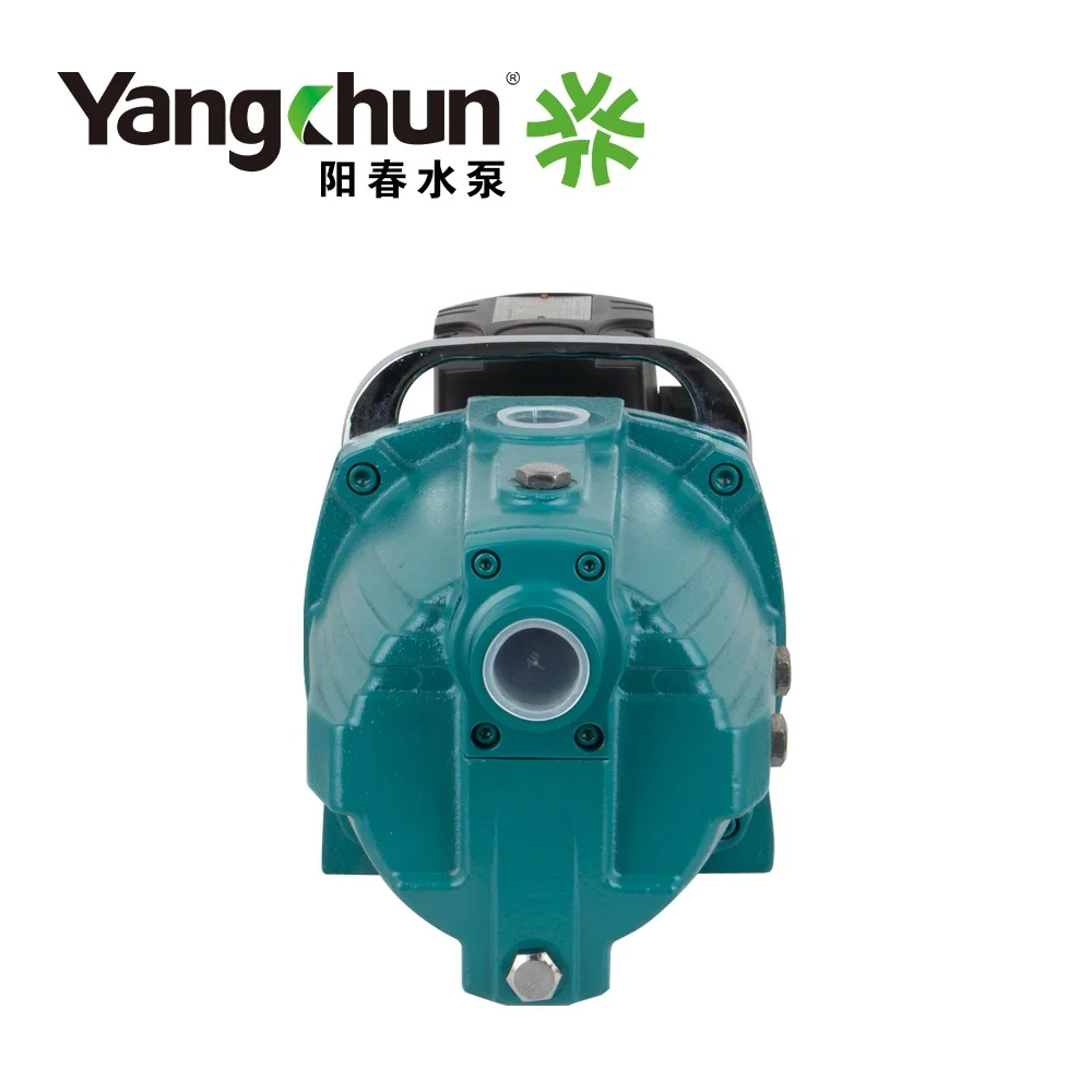Jet Water Pump JET100 High Lift, Large Flow, Convenient Installation and Simple Usage 1.0HP Electric High Pressure Standard 220V