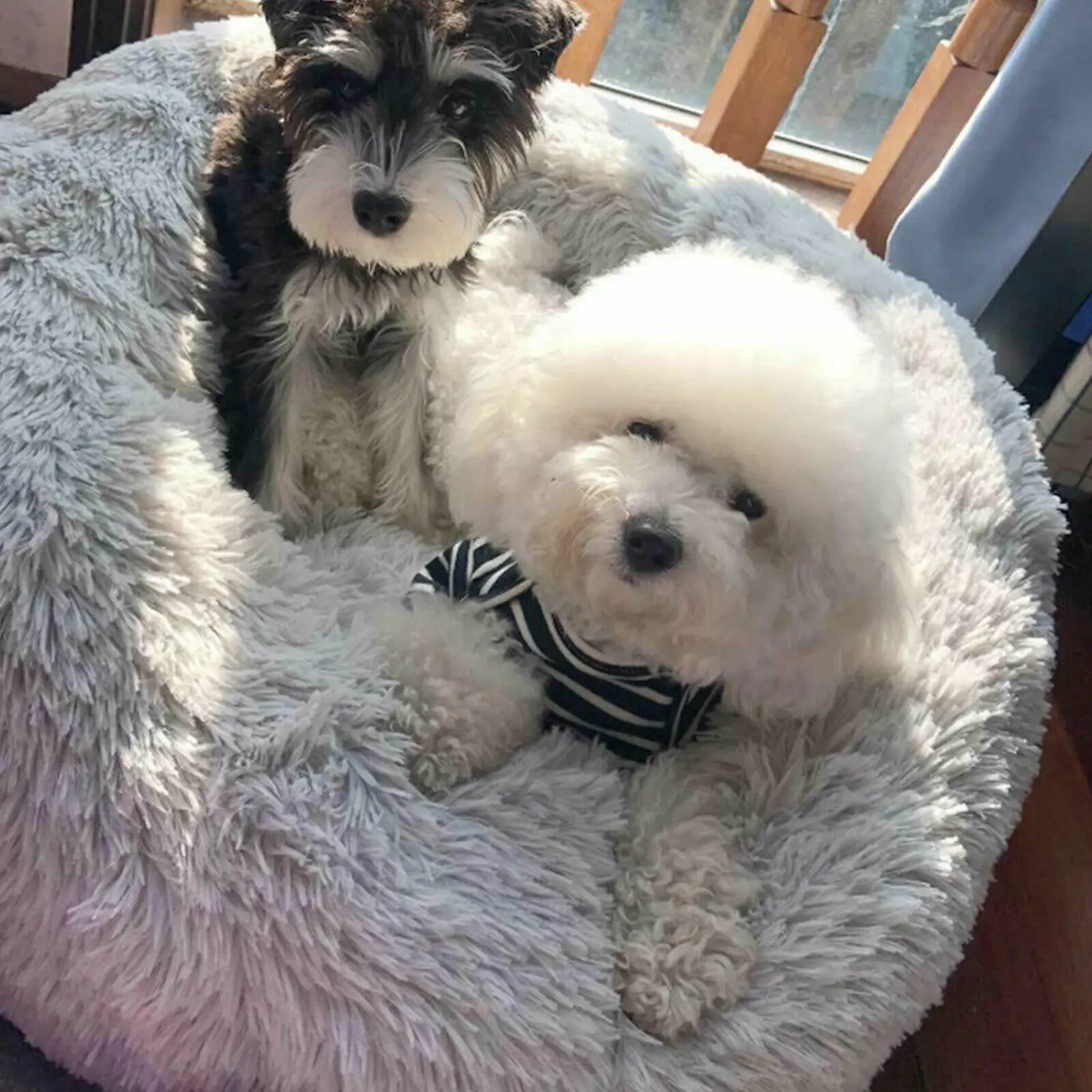 Wholesale Pet Products faux fur dog cat beds Plush soft warm cama para mascota Pet Beds