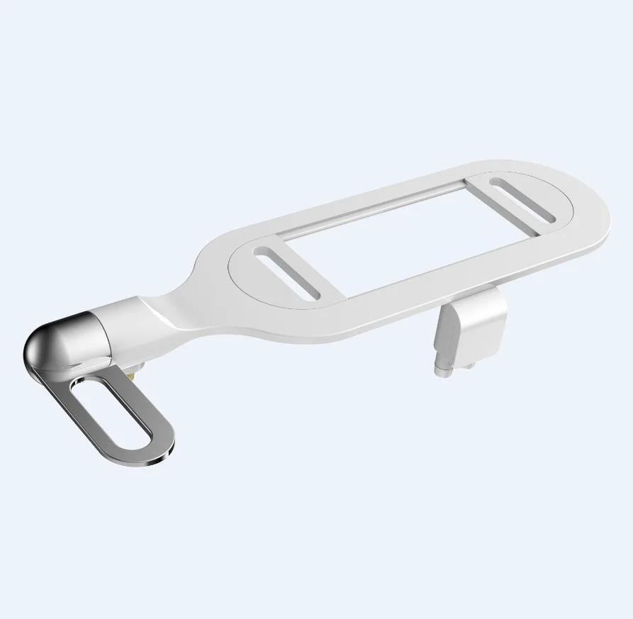 Simple dual nozzle bidet toilet