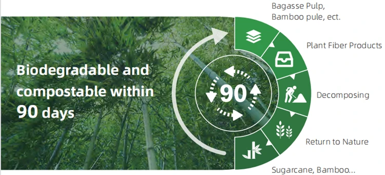Good Quality Biodegradable Food Trays  Bagasse Disposable Supermarket Fruit Tray Paper