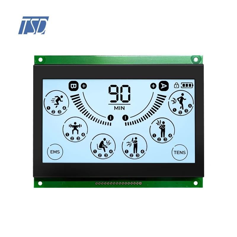 LCD panel  FSTN 256x128 LCD screen module monochrome LCD