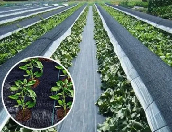 4ft x 100ft 5oz Heavy Duty Weed Control Membrane Garden Weed Barrier Fabric for Landscaping Driveway Gravel Artificial Grass Law