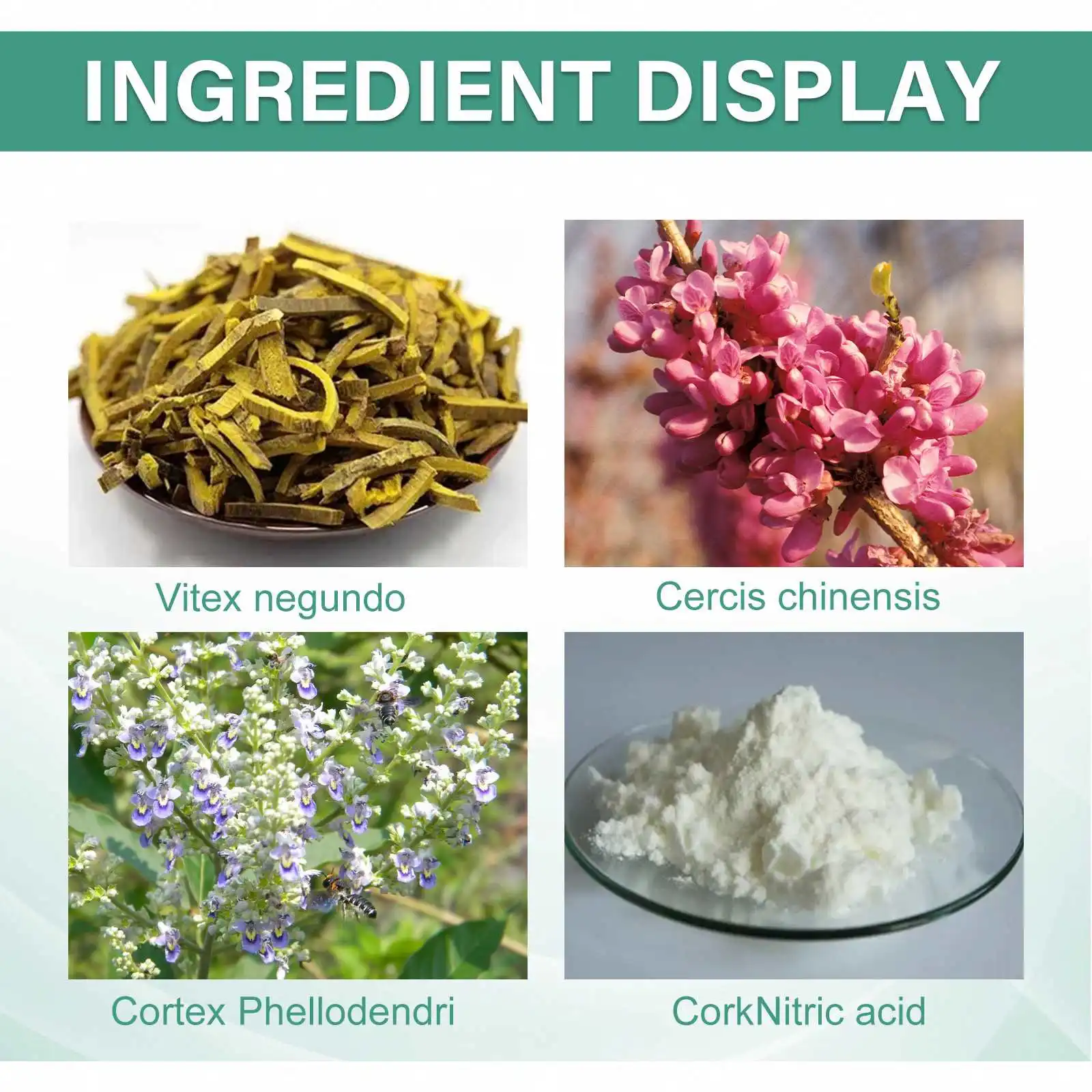 OEM ODM Nail Fungal Treatment Feet Care Essence Anti Infection Paronychia Onychomycosis Nail Foot Toe Nail Fungus Removal Liquid