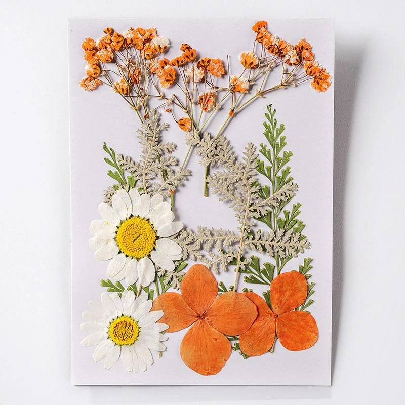 manufacturer wholesale mixed material pack dry pressed flowers for resin