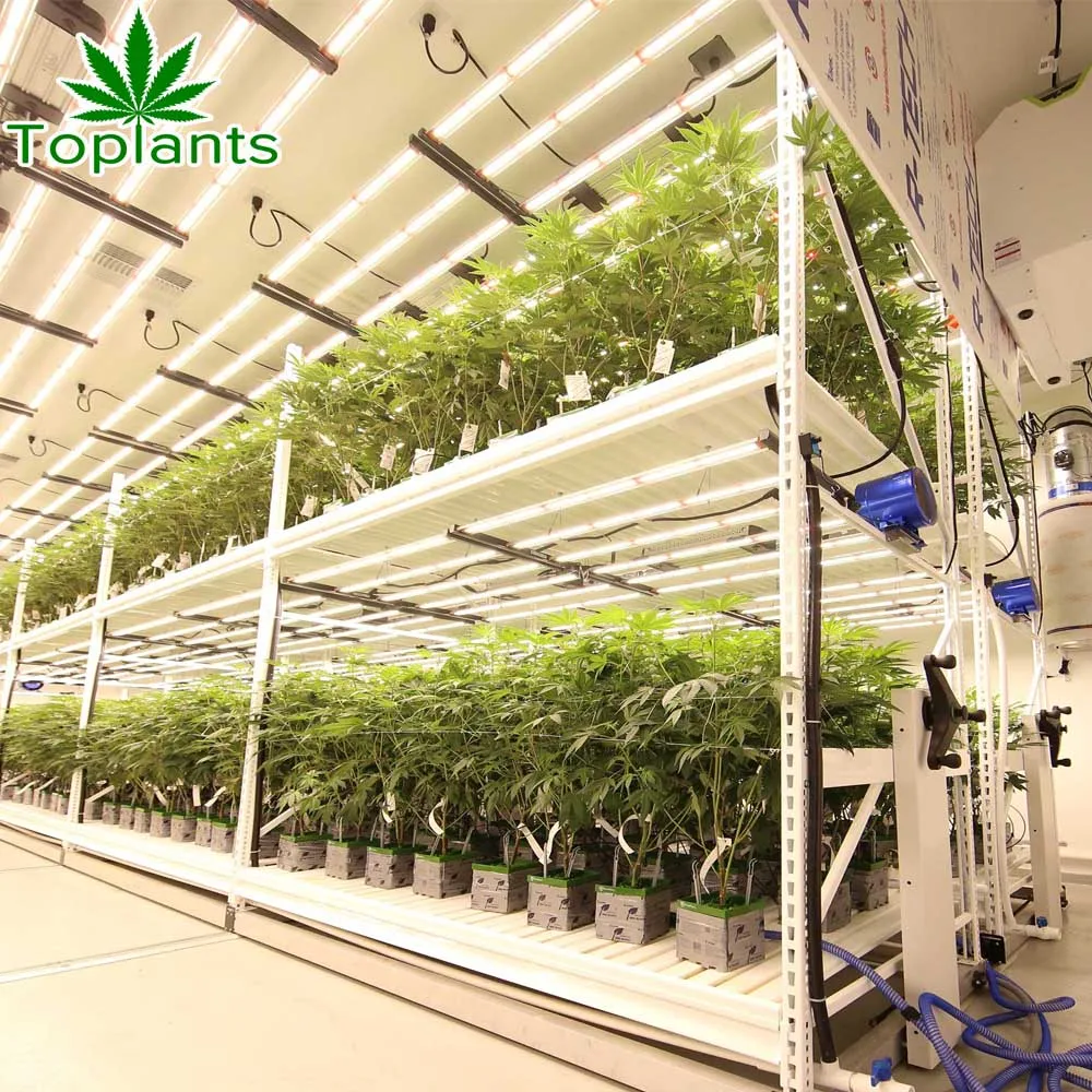 4x8 Rolling Flood Movable Growing Racks High Quality Vertical Plants Grow Table Cultivation