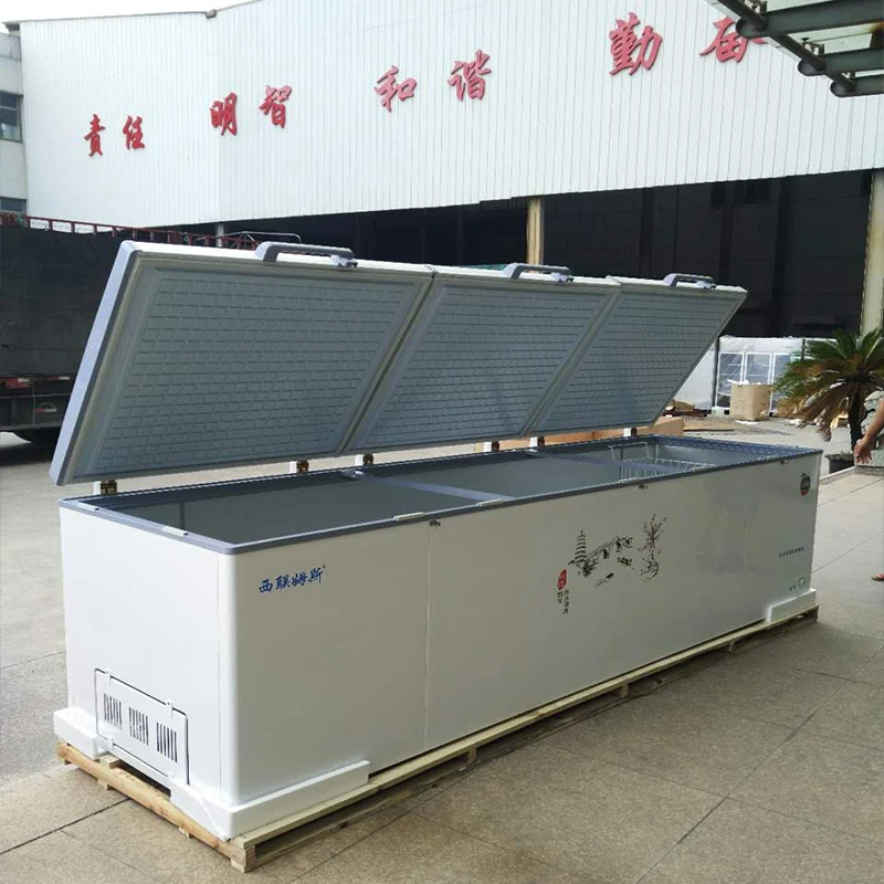 Commercial Single-Temperature Horizontal Freezer Display Chiller 220V Air Cooler Compressor Convenience Store Use