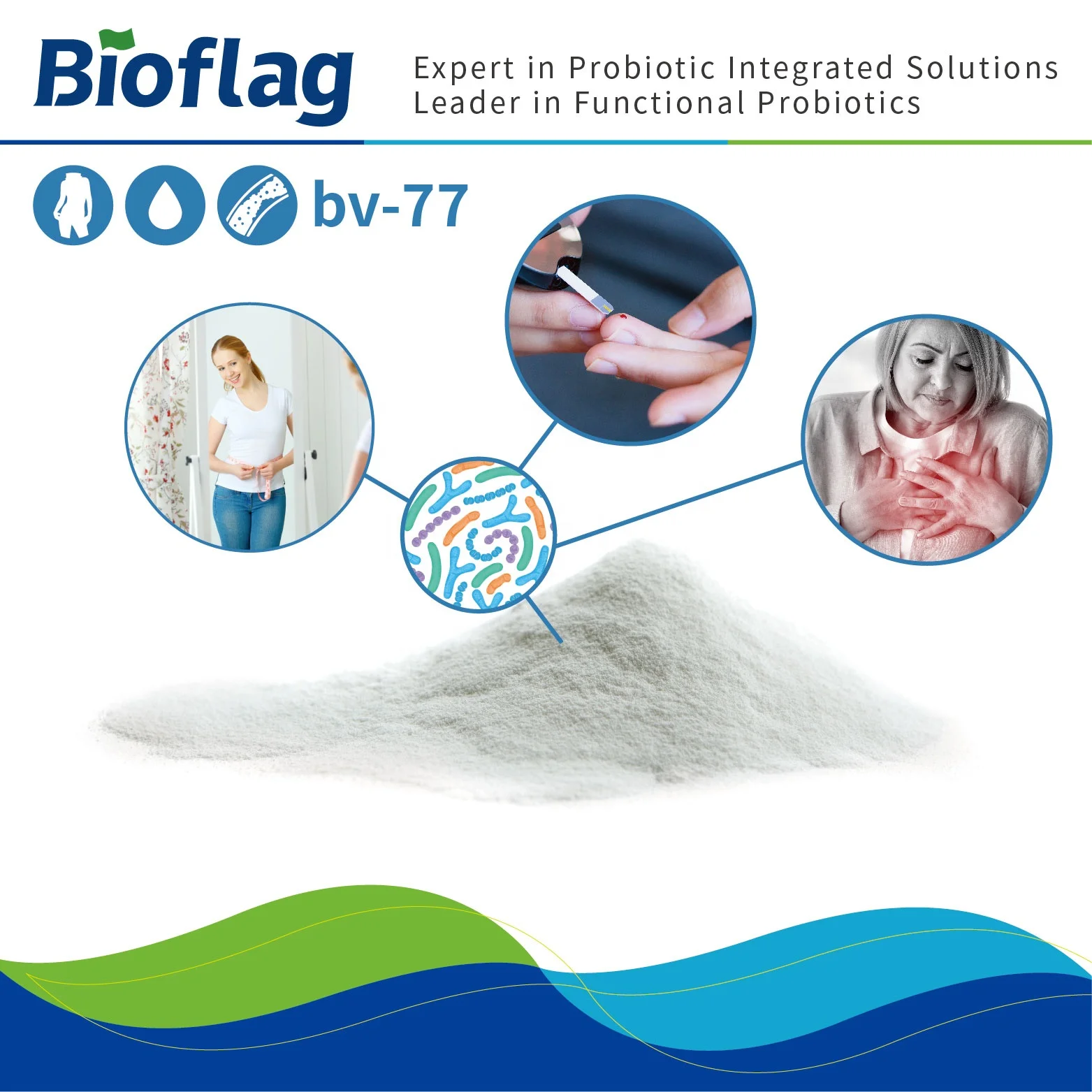 weight loss and fat reduction probiotic Lactobacillus rhamnosus bv-77 cardiovascular disease prevention