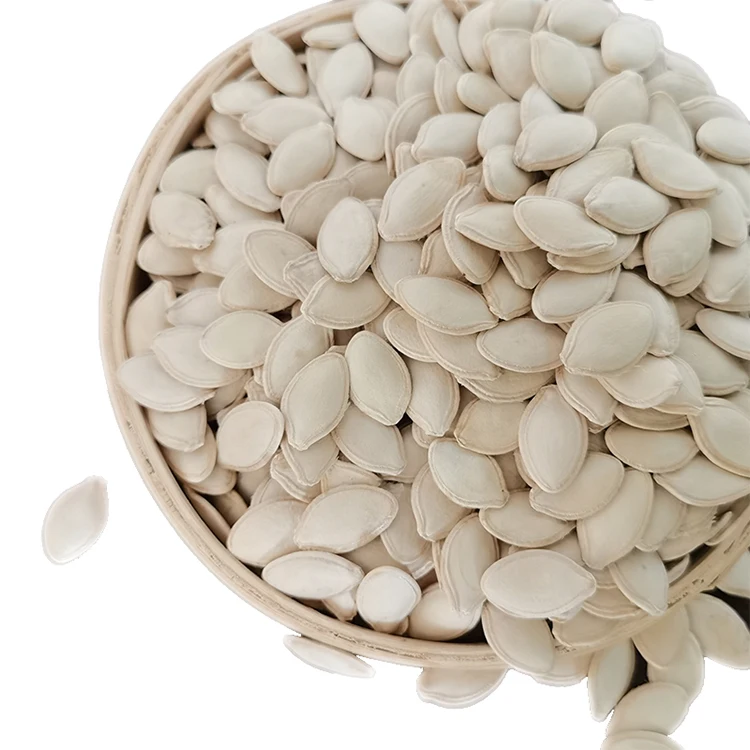 Better price of China manufacturer snow white pumpkin seeds  price