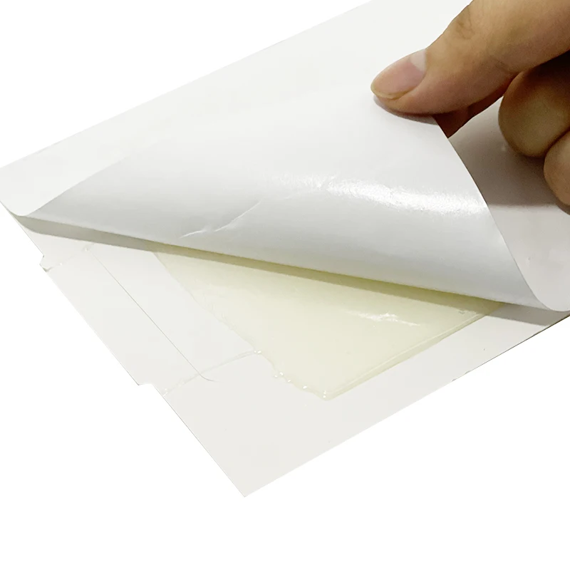 Non-Toxic Strong Stickiness Rat Trap Glue Board, Rat Mouse Glue Traps, Rat Killer Glue Trap