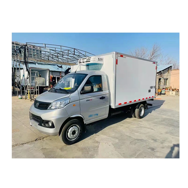 Professional Refrigerated Cold Room Van Truck Bodies Mini Refrigerated Truck