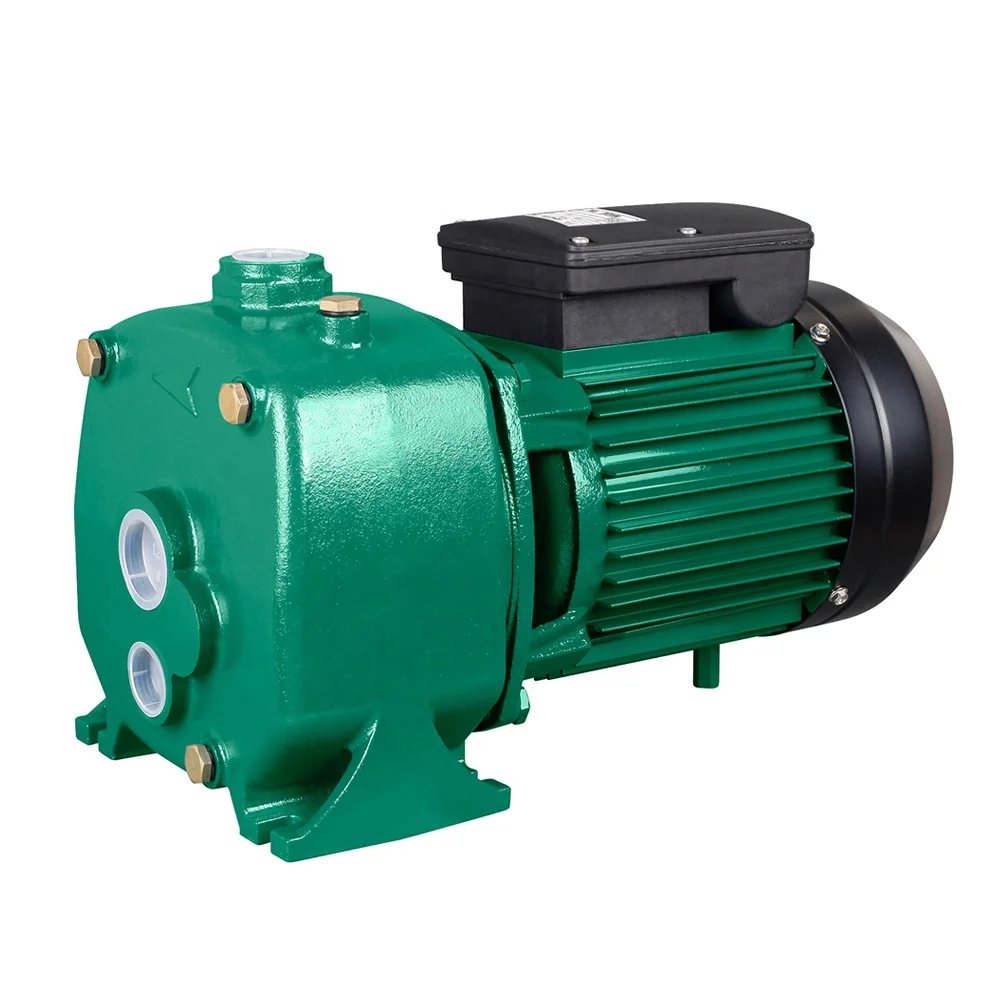 RUIQI Factory DP750 High Head 750W Motor Pompa Wholesale Pump Price 1HP Pressure JET Deep Well Water Pumps