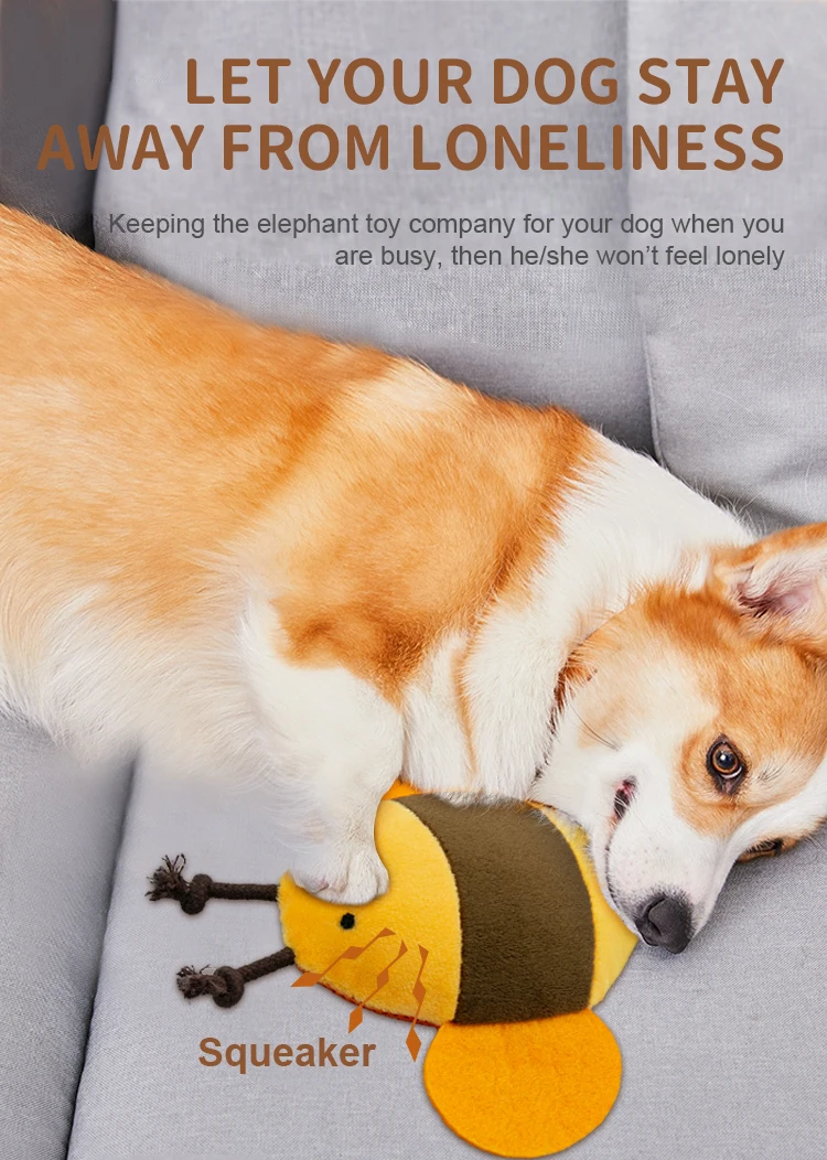 _01.jpg