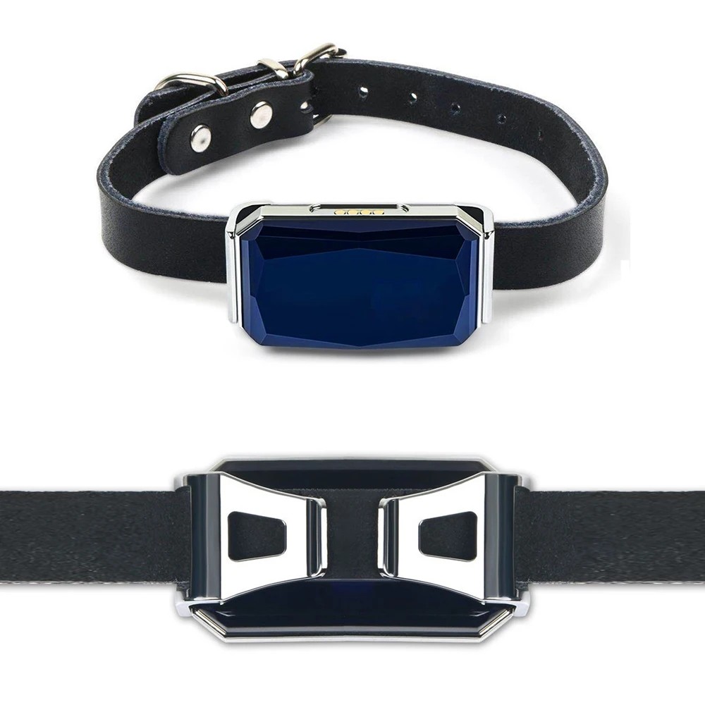 2024 New Model G12 Wholesale WIFI APP GPS Pet Collar Locator with ACC Detection Navigation Tracking for Pet Dog Cat