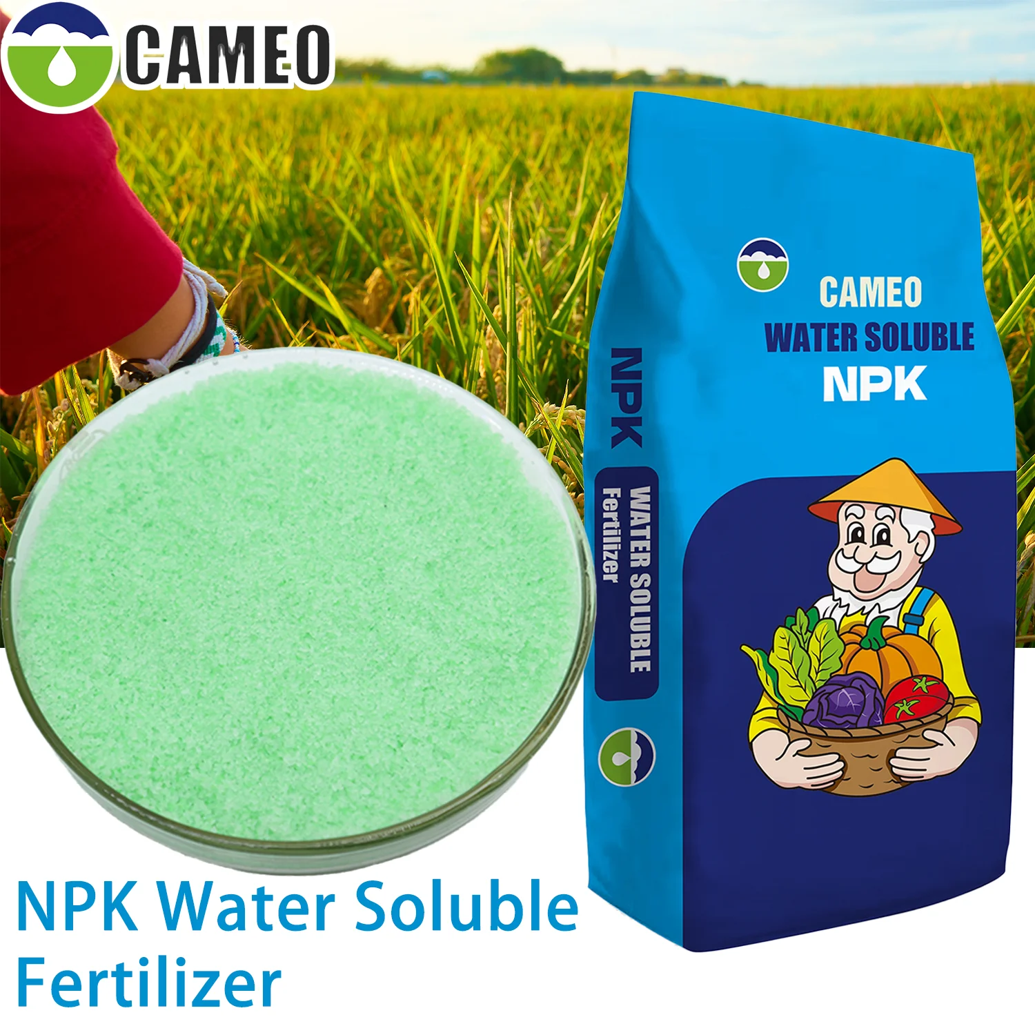 Quick Release 18-18-18 19-19-19 NPK Organic Fertilizer Water Soluble Compound NPK 20-20-20 for Agriculture