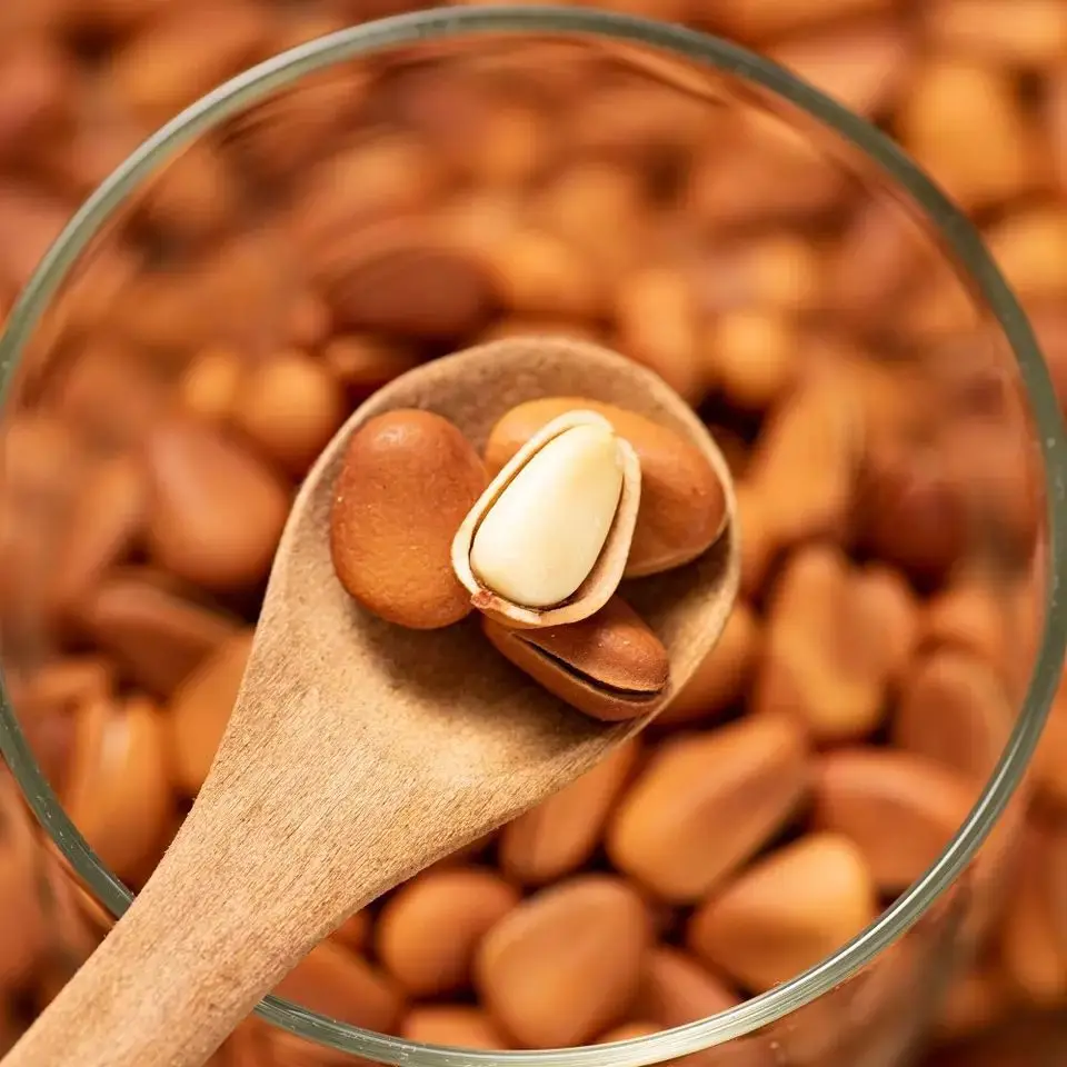 Hot Sale High Quality Organic No Additives Pure Natural Pine Nuts With Shell