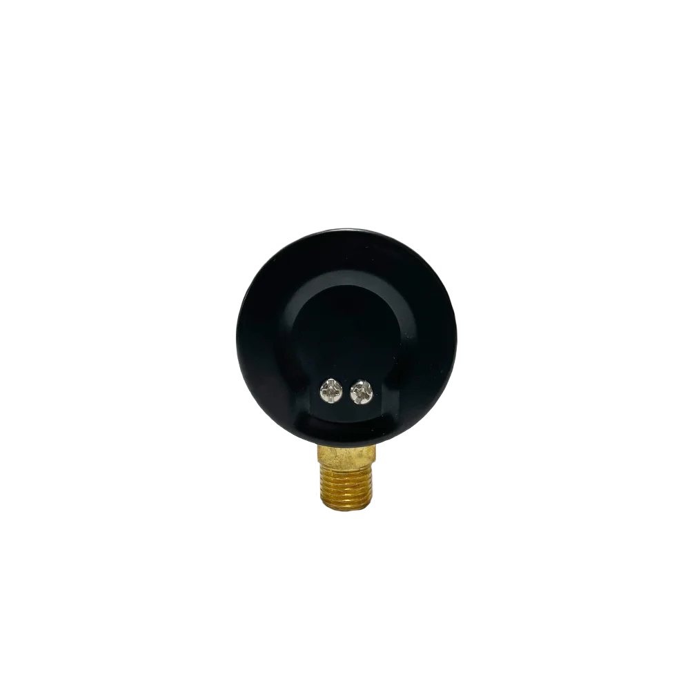 RUIQI Low Price Pressure Gage high quality Radial Direction Piezometer Pumps and Parts  Pump Accessories Pressure Switch