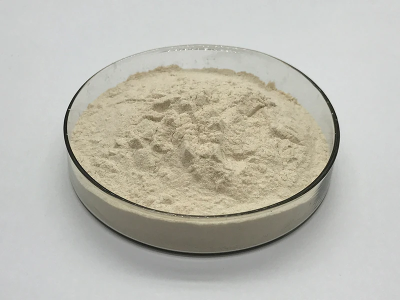 
Food Grade High Quality Hemicellulase Enzyme 