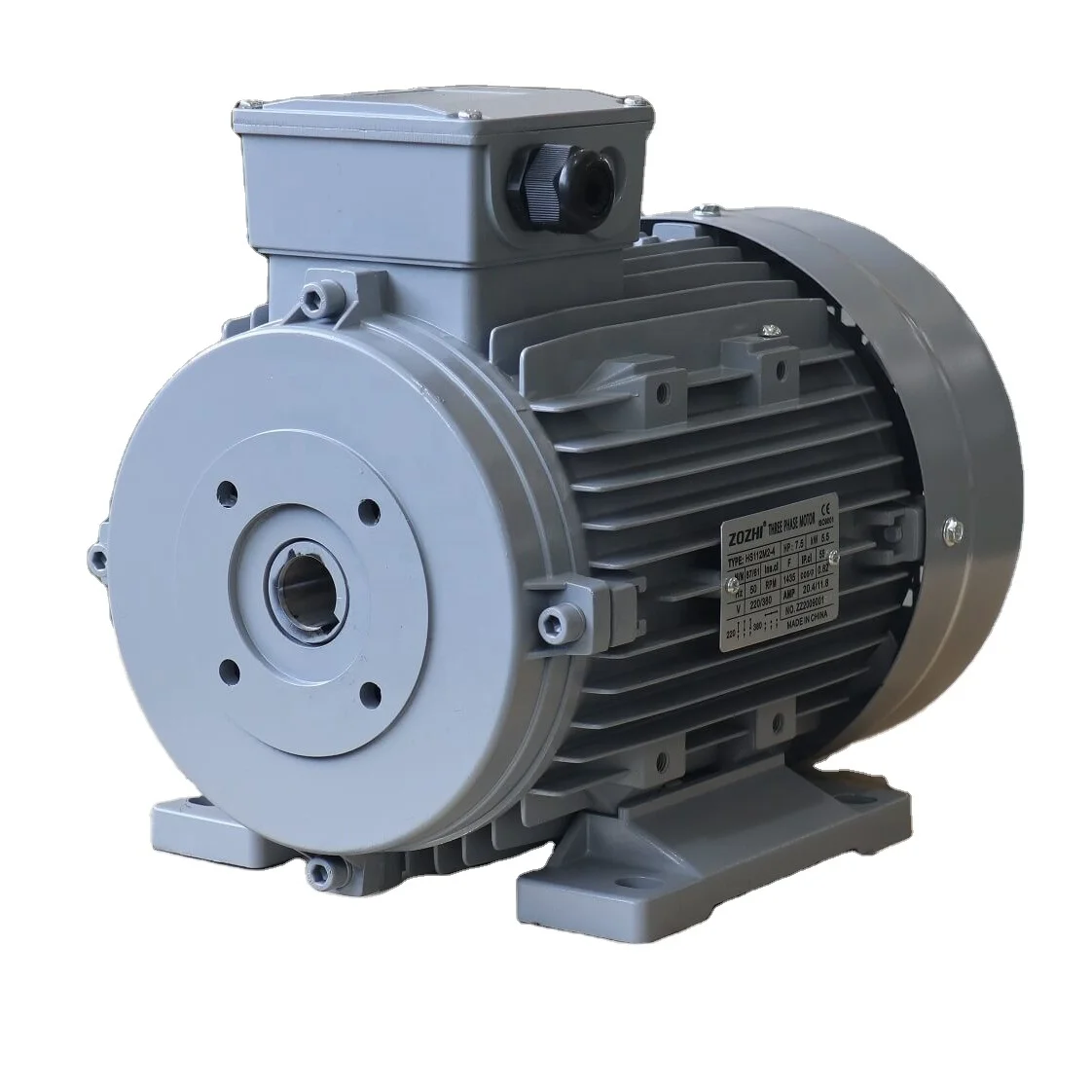 Hollow Shaft Motor B3 type 24mm Two Bearing 87/61 75/90 Three Phase