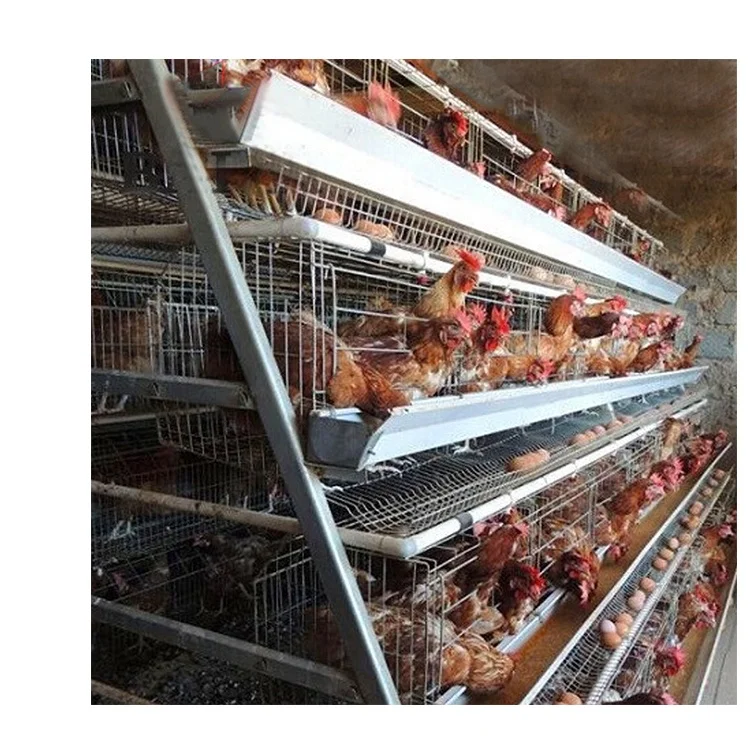 Hot Sale Automatic A Type Egg Laying Cage Price Breeding Hens Battery Layer Chicken Cage For Used In Poultry Farming Equipment