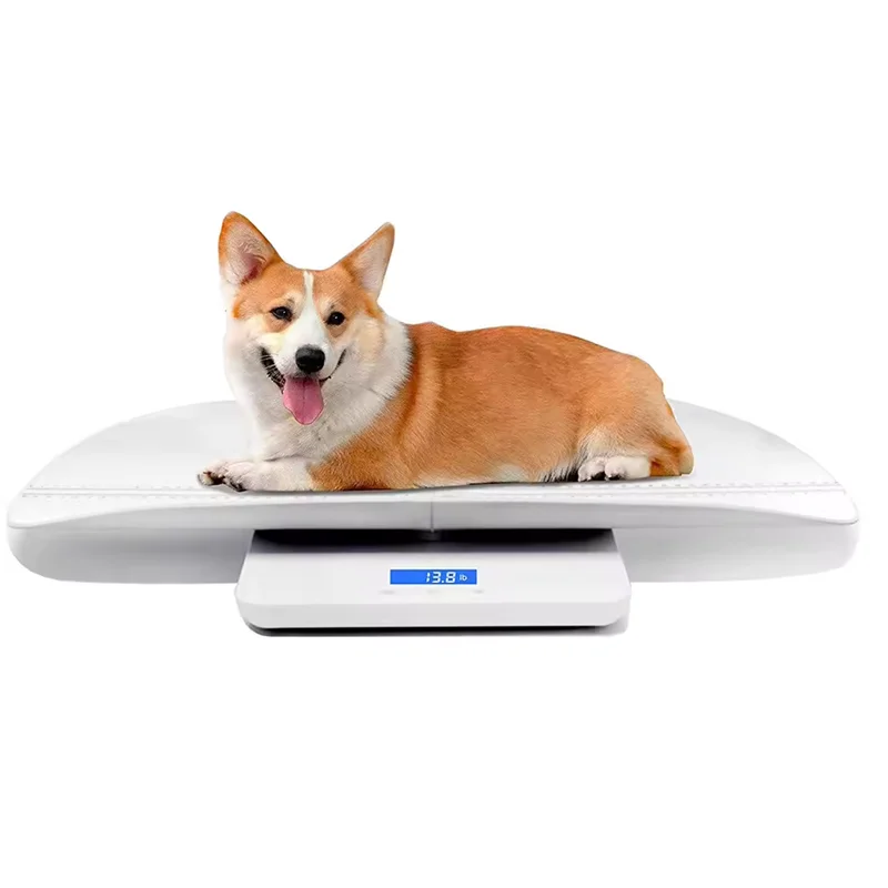 OEM Baby scale digital separated design pediatric scale digital electronic 100kg baby scale price