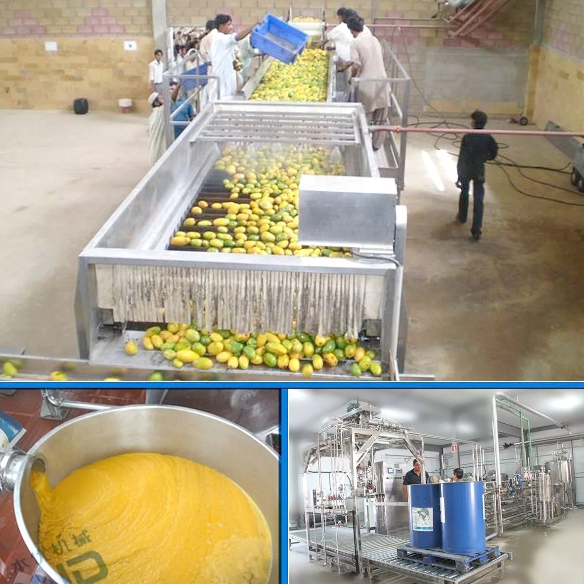 Mango pulp processing machinery Mango Jam making machine Mango Puree Production Line