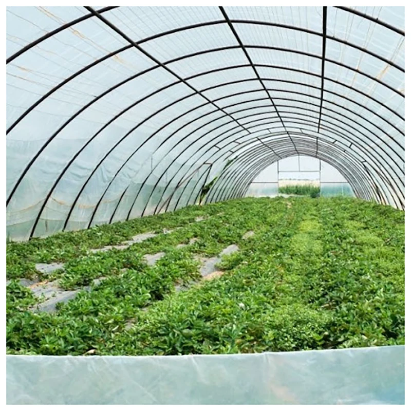 Export Single-span Greenhouse For Vegetables Low Cost  Greenhouse Frame
