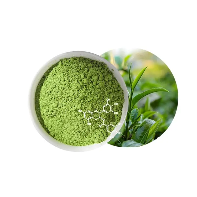 Чистый зеленый Matcha: Идеально подходит для приготовления пищи выпечки и напитков рецепты