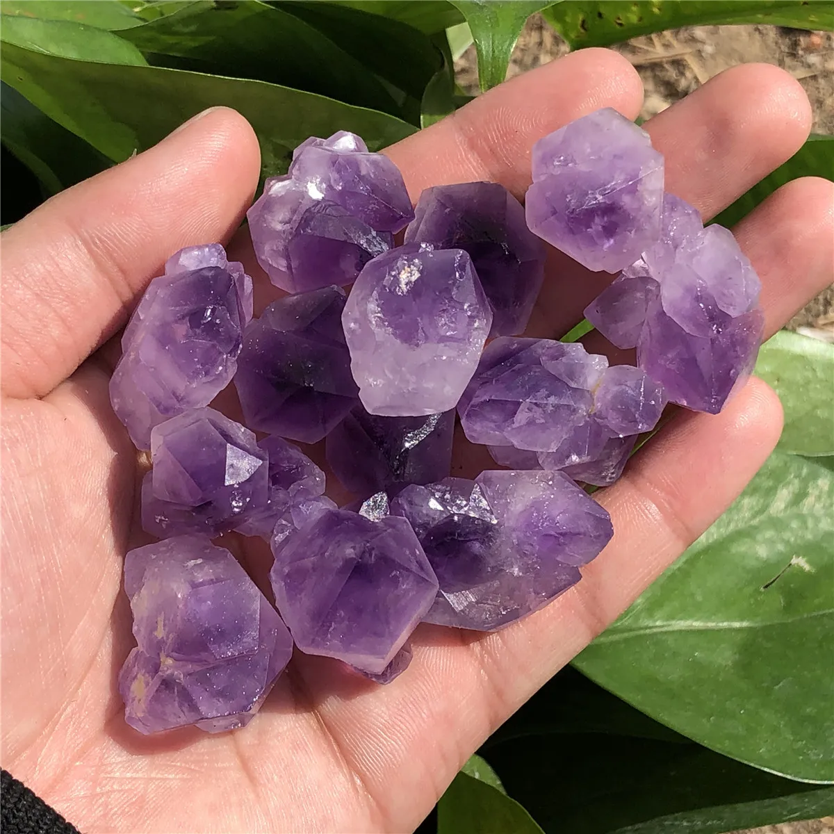 Amazing Long Tooth Natural Raw Amethyst Rough Stone Crystal Tooth Gems For Wholesale Prices