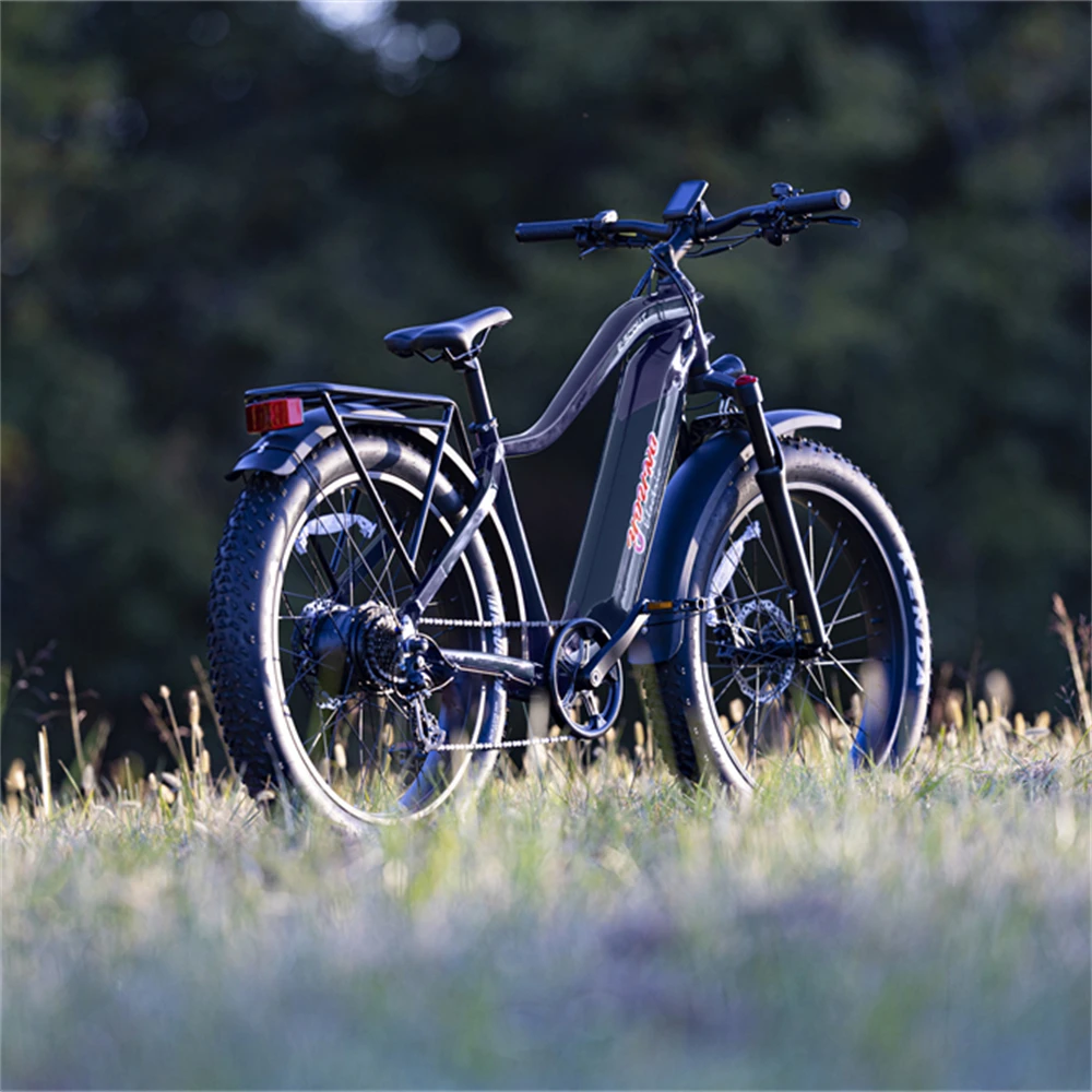 Original 750w Motor E Bike Shimano 10 Speed Electric Bicycle Fat Tire Electr Bike Cruiser Ebike