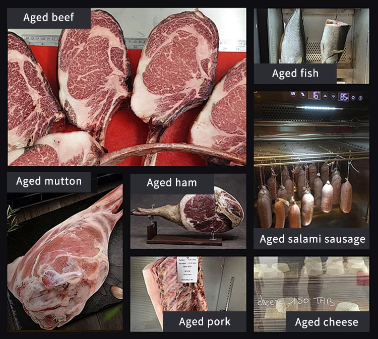 Temperature control Salami Cheese steak beef Dry age cooler machine dry aging meat cabinet refrigerator dry age fridge