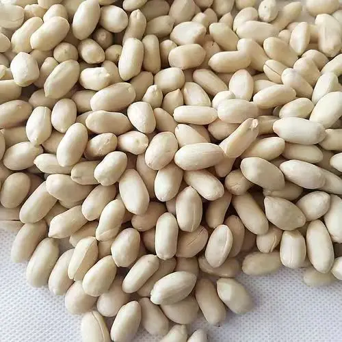 High Quality Roasted Blanched Peanuts Best Price Wholesale Snack Dried Style Kernel